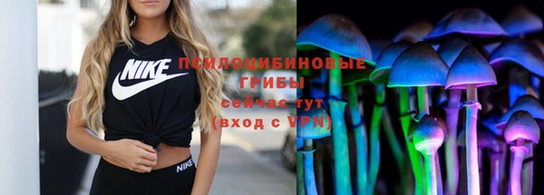apvp Алзамай