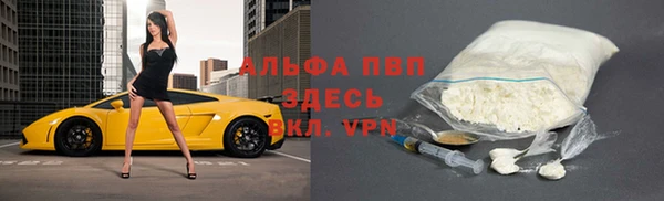 гидра Алексеевка