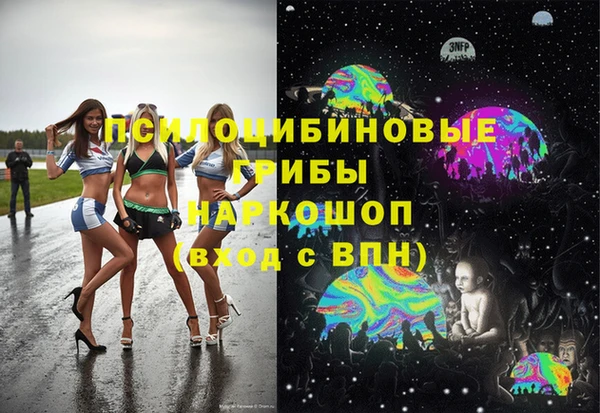 гидра Алексеевка