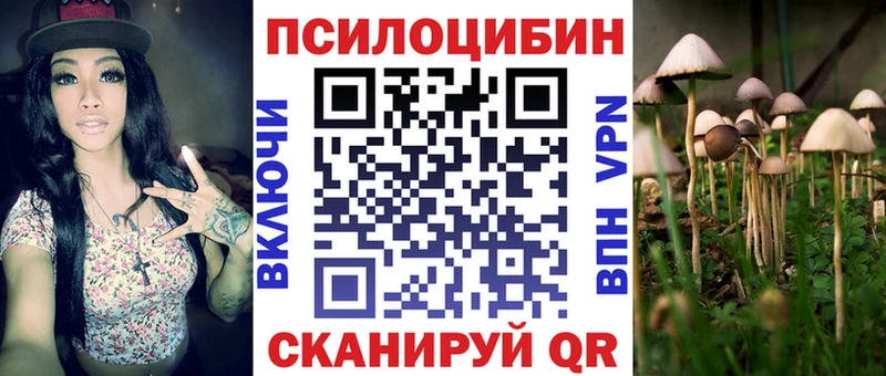 Галлюциногенные грибы мицелий  МЕГА ONION  Поронайск 
